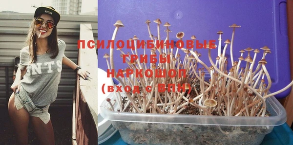 кристаллы Белокуриха