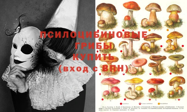 кристаллы Белокуриха