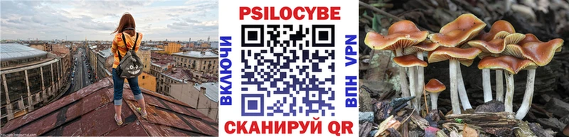 Псилоцибиновые грибы Magic Shrooms  гидра tor  Верея 